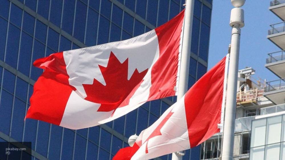 Виртуальный "Бессмертный полк" в Канаде привлек внимание более 10 тысяч зрителей - polit.info - Канада