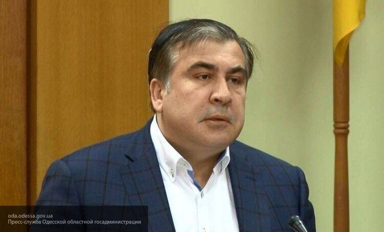 Михаил Саакашвили - Арчил Талаквадзе - Председатель парламента Грузии раскритиковал назначение Саакашвили на Украине - politexpert.net - Украина - Киев - Грузия - Тбилиси