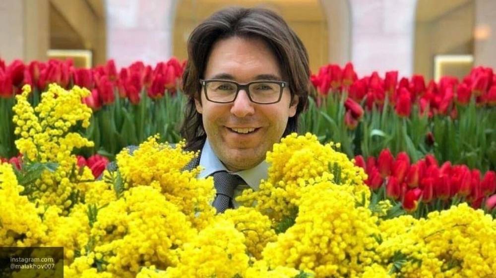 Александр Виноградов - Сексолог разглядел в картине на стене Малахова протестную карикатуру на Первый канал - inforeactor.ru