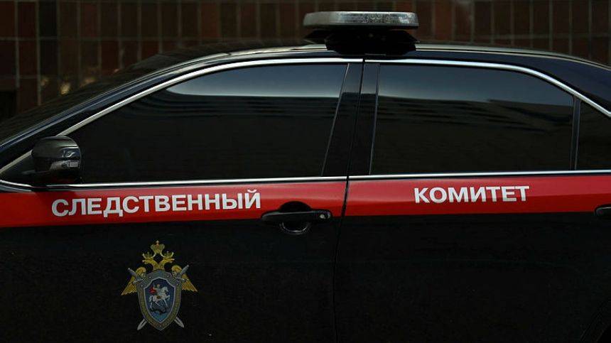 Стали известны подробности инцидента со взрывом гранаты в Ставрополье - 5-tv.ru - Россия - Ставрополье