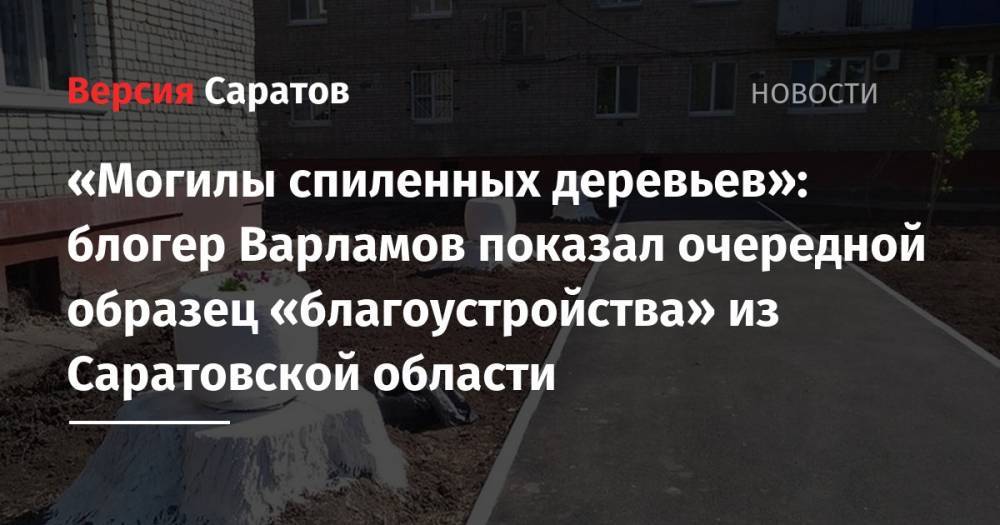 Илья Варламов - Блогер - «Могилы спиленных деревьев»: блогер Варламов показал очередной образец «благоустройства» из Саратовской области - nversia.ru - Саратовская обл. - Балаково