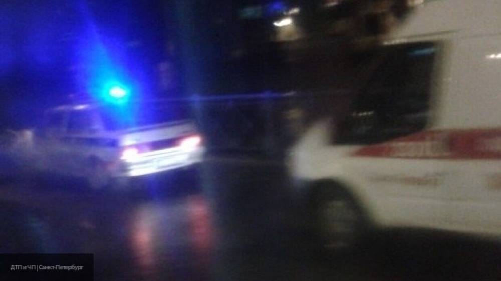 Вадим Наумов - Водитель сбил насмерть пешехода ночью в Ленобласти - nation-news.ru - Ленинградская обл. - Санкт-Петербург