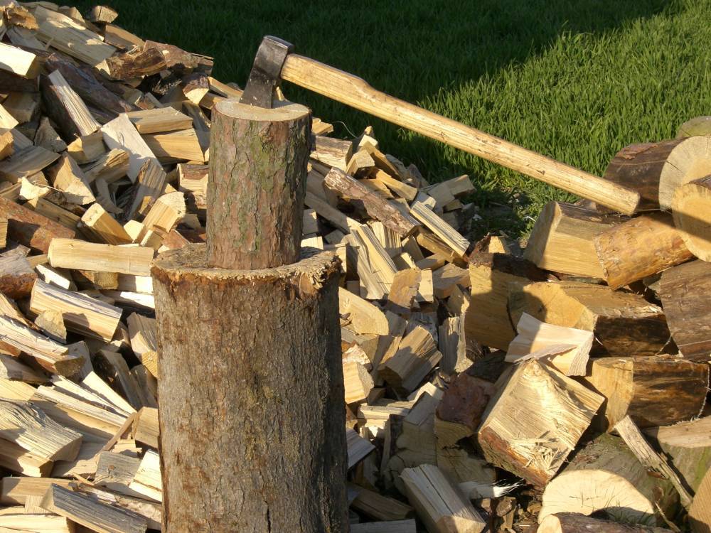 Госдума намерена пресечь нецелевое использование дров в российских деревнях - newsland.com - Россия - район Павловский