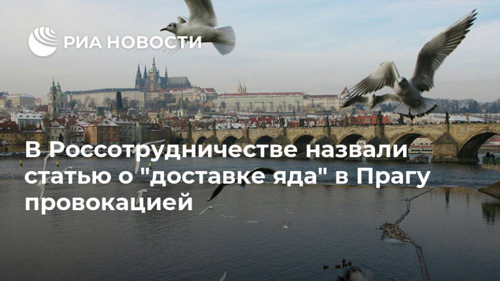 Иван Конев - Элеонора Митрофанова - В Россотрудничестве назвали статью о "доставке яда" в Прагу провокацией - ria.ru - Москва - Россия - Чехия - Прага