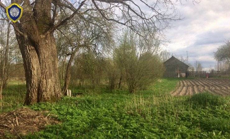 В Беларуси мужчина с племянницей отравились цикутой и погибли. Страшно ядовитый корнеплод принес в дом дядя, думая, что он съедобный - gomel.today - Белоруссия - Могилевская обл.