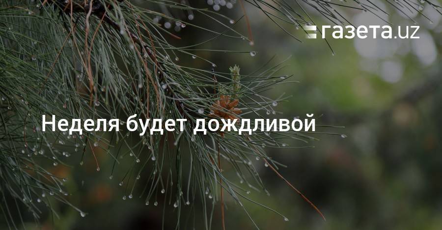 Неделя будет дождливой - gazeta.uz - Узбекистан - Навоийской обл.