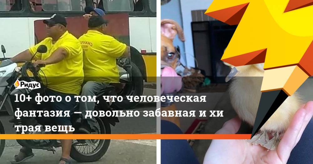 10+ фото отом, что человеческая фантазия— довольно забавная ихитрая вещь - ridus.ru