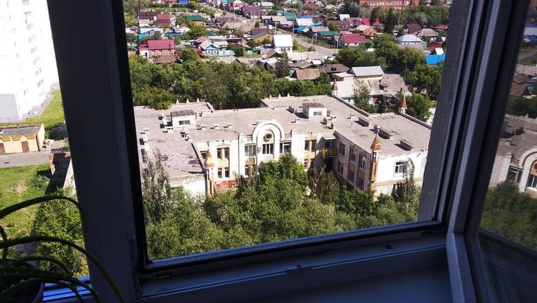 Тюменцам рассказали, как посадить огород на окне - nashgorod.ru - Тюмень