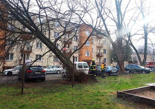 Предупреждение о сильном ветре объявлено в Чехии - vinegret.cz - Чехия - Прага