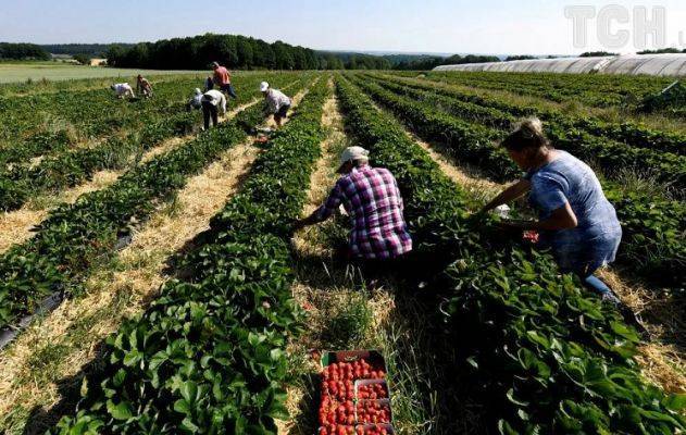 В Польше заявили о грядущей катастрофе без украинских трудовых мигрантов - eadaily.com - Украина - Польша - county Real