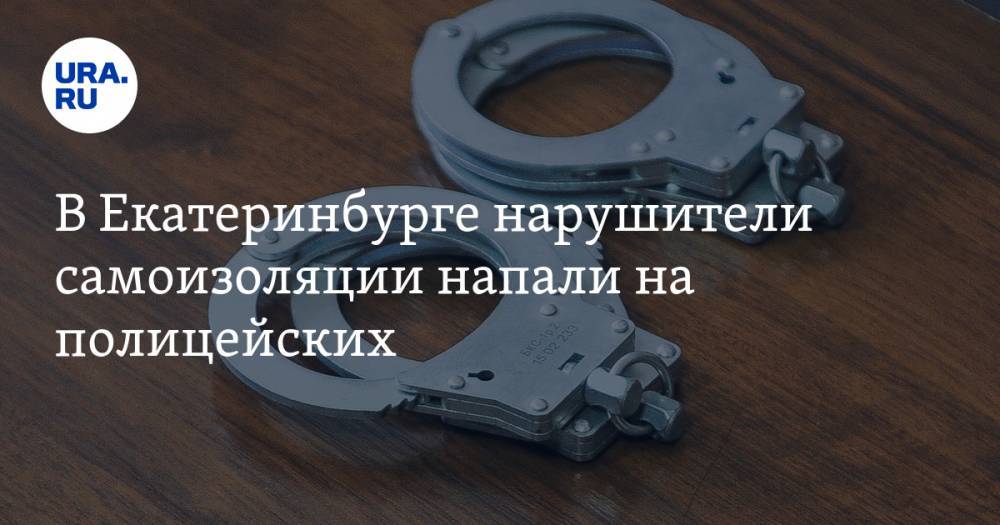В Екатеринбурге нарушители самоизоляции напали на полицейских. ВИДЕО - ura.news - Екатеринбург - Урал