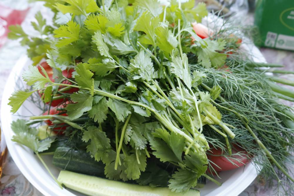 Кремлевский врач назвала продукты, полезные во время пандемии коронавируса - vm.ru