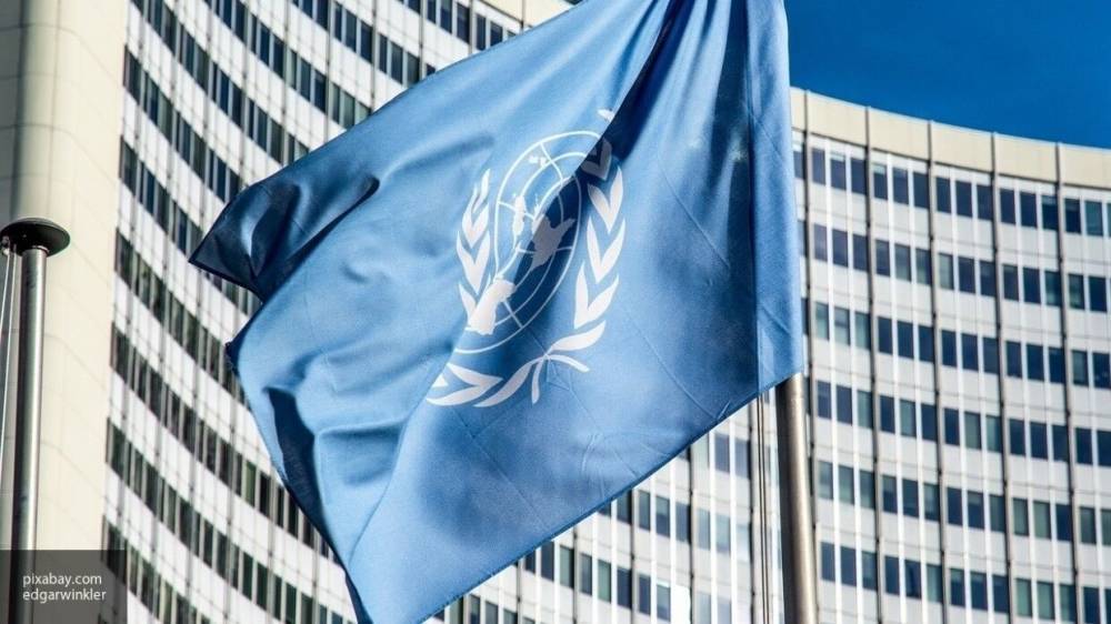 Политика Турции в Ливии подрывает деятельность ООН по политическому решению конфликта - inforeactor.ru - Сирия - Турция - Анкара - Ливия