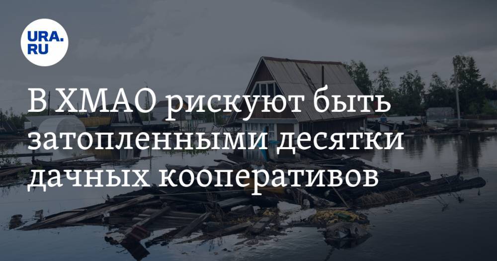 Василий Тихонов - В ХМАО рискуют быть затопленными десятки дачных кооперативов - ura.news - Югра - Нижневартовск