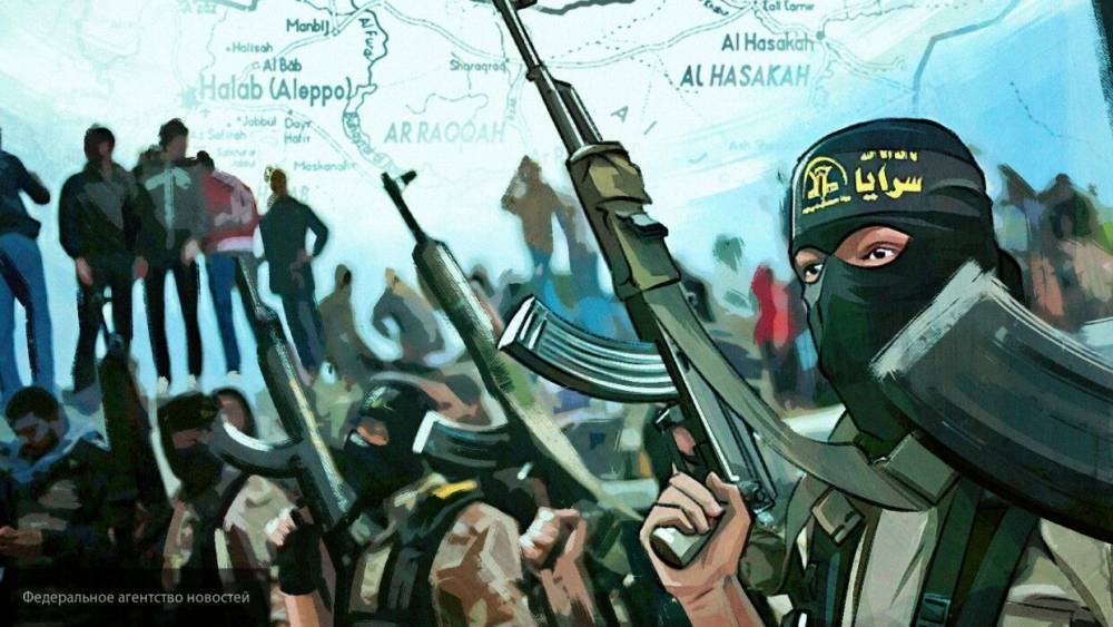 Террористы "Джебхат ан-Нусры" обстреляли поселение в сирийском Идлибе - inforeactor.ru - Россия - Турция
