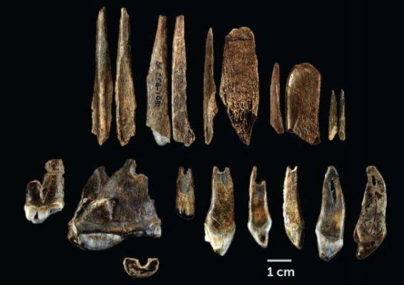 В Болгарии нашли самые древние в Европе останки Homo sapiens - eadaily.com - Франция - Болгария