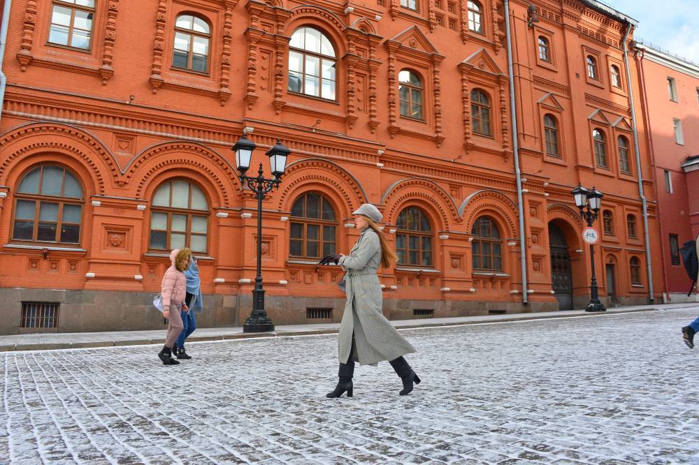 Роман Вильфанд - Снег спрогнозировали в Москве в ближайшие часы - vm.ru - Москва - Россия