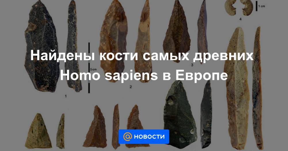 Найдены кости самых древних Homo sapiens в Европе - news.mail.ru - Болгария