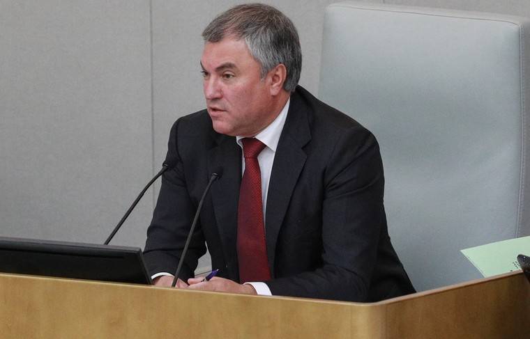 Володин сообщил о депутатах, лежащих в больнице с коронавирусом - news.ru