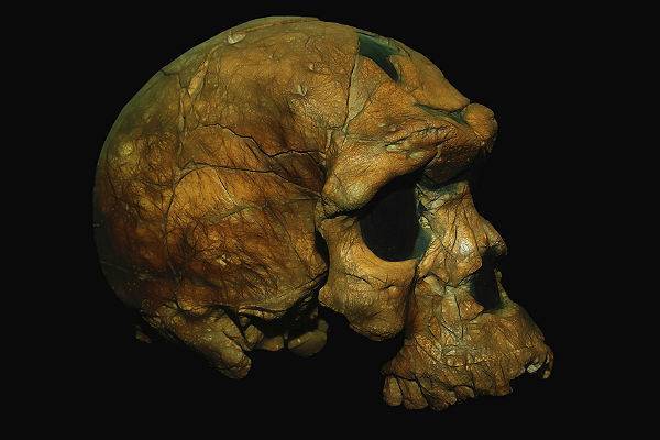 Максим Планк - В Болгарии нашли кости самых древних Homo sapiens в Европе - trud.ru - Болгария