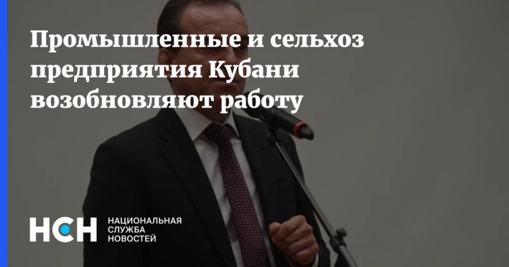 Владимир Путин - Вениамин Кондратьев - Промышленные и сельхоз предприятия Кубани возобновляют работу - nsn.fm - Россия - Краснодарский край