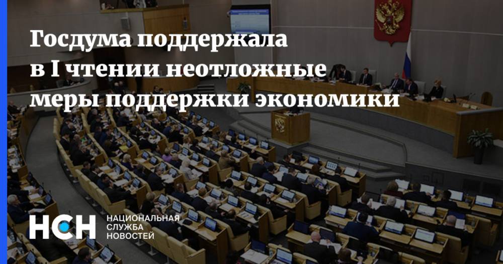 Госдума поддержала в I чтении неотложные меры поддержки экономики - nsn.fm - Москва