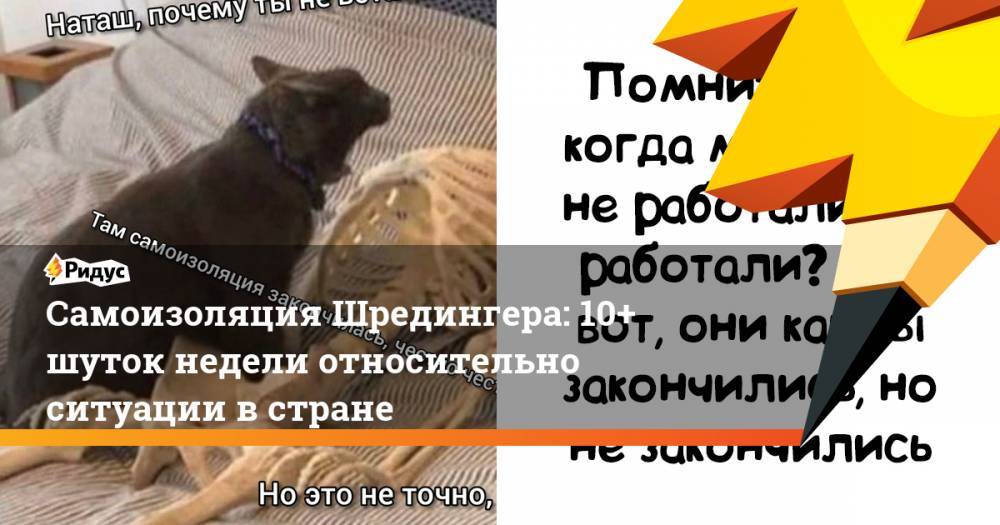Владимир Путин - Сергей Собянин - Самоизоляция Шредингера: 10+ шуток недели относительно ситуации встране - ridus.ru - Москва - Россия
