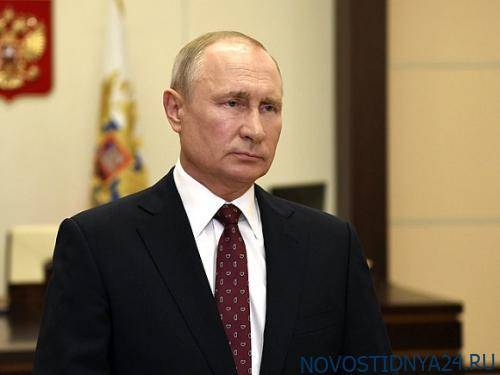 Ястреб не в своей тарелке - novostidnya24.ru