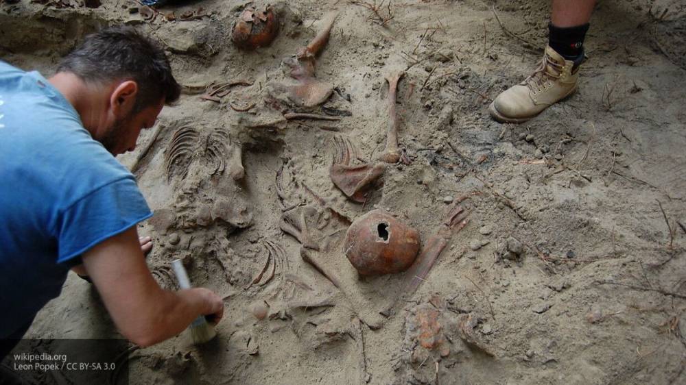 Археологи нашли доказательства взаимодействия неандертальцев и Homo Sapiens - politexpert.net - Болгария