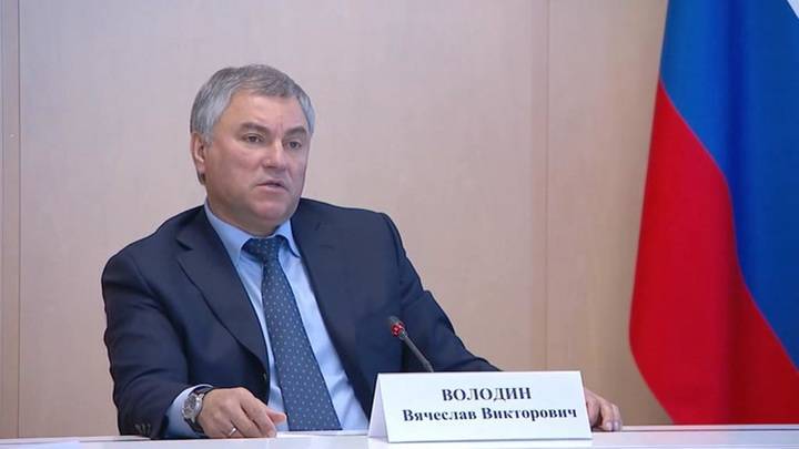 Дмитрий Песков - Вячеслав Володин - Володин о страховке от коронавируса: жизнь изменилась надолго - vesti.ru - Россия