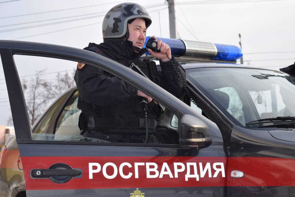 Росгвардия отчиталась по охране домов и офисов в нерабочие дни - vm.ru - Москва - Московская обл. - Московская область