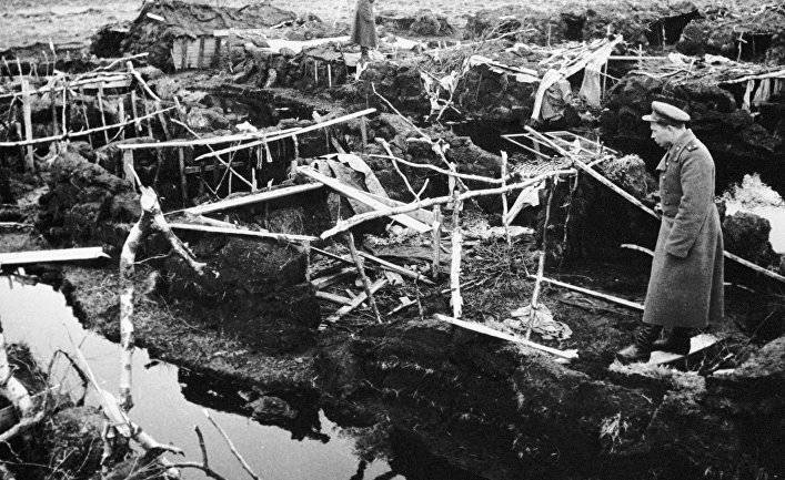 Forskning (Норвегия): кем были советские военнопленные, захороненные в Норвегии? - inosmi.ru - Норвегия