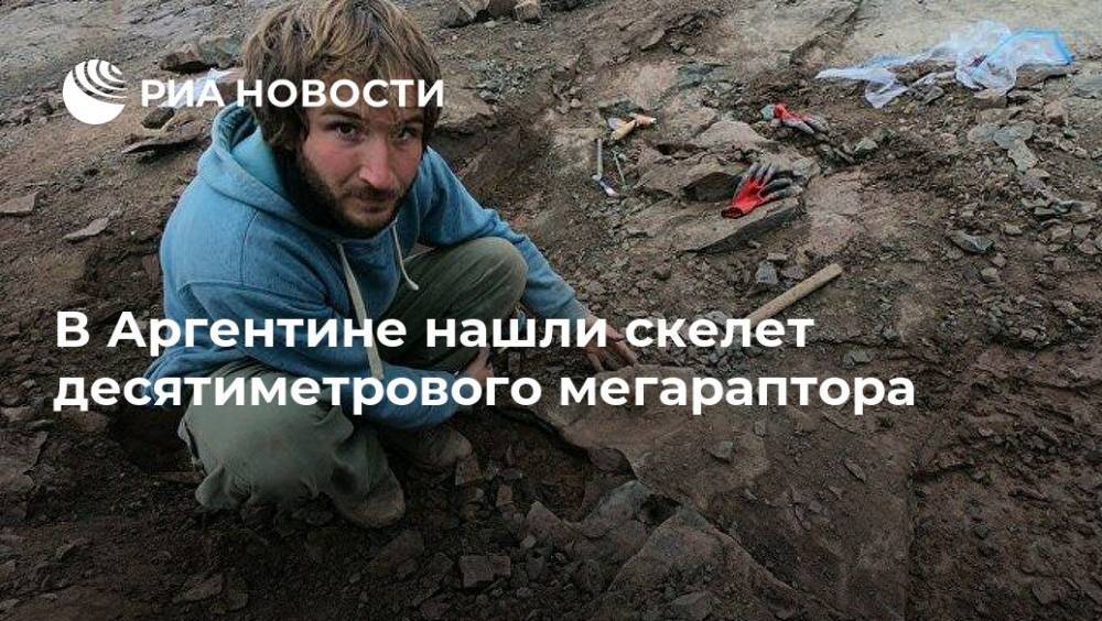 В Аргентине нашли скелет десятиметрового мегараптора - ria.ru - Аргентина - Буэнос-Айрес