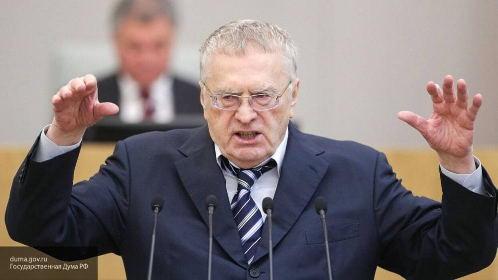 Владимир Жириновский - Михаил Мишустин - Аглая Чайковская - Жириновский выступил за сокращение количества депутатов - politros.com - Россия