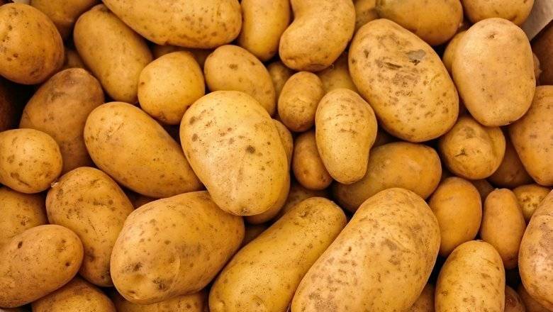 Из Тюменской области экспортировали тонны пиломатериалов, зерна и картофеля - nashgorod.ru - Казахстан - Тюмень - Тюменская обл. - Сербия - Монголия