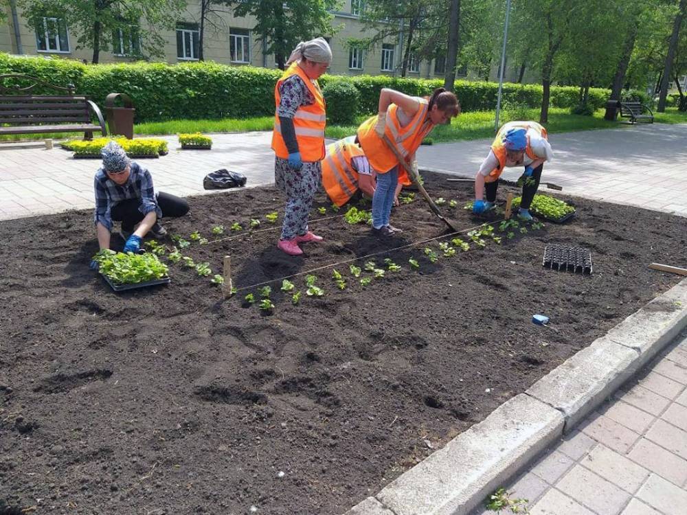 Илья Середюк - В Кемерове началась высадка цветов на клумбы - gazeta.a42.ru - Кемерово - Благоустройство