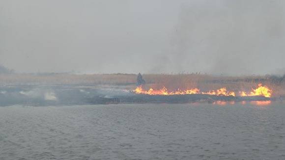 По факту лесных пожаров в Курганской области возбуждено три уголовных дела - znak.com - Россия - Курганская обл. - район Кетовский