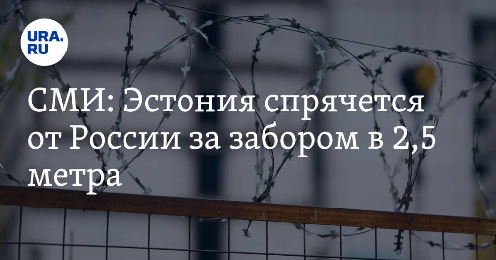 СМИ: Эстония спрячется от России за забором в 2,5 метра - ura.news - Россия - Эстония