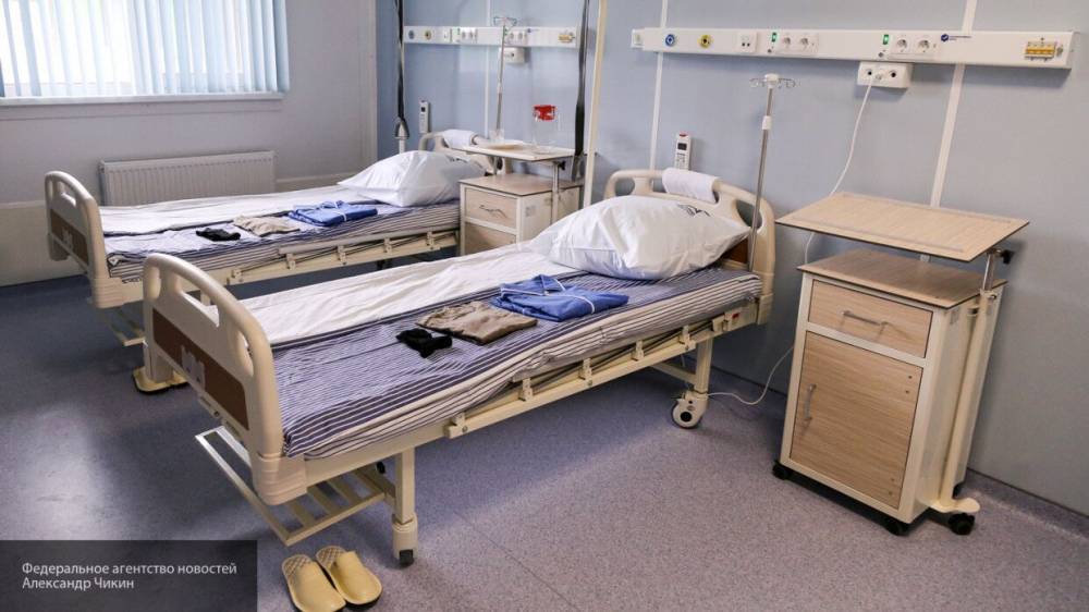 Мария Базарева - Количество выздоровевших от COVID-19 за сутки в Новосибирской области достигло 66 человек - nation-news.ru - Новосибирск - Новосибирская обл.