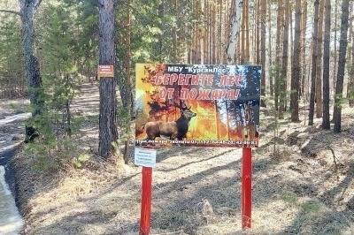 Андрей Потапов - В Кургане до начала лета продлили запрет на посещение лесов - znak.com - Курган