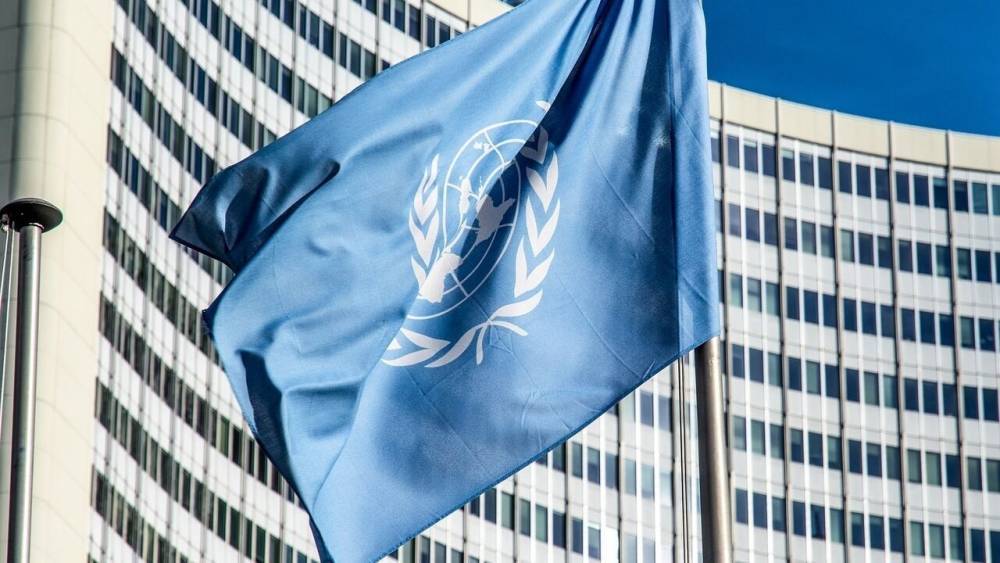 Эксперты ООН основали доклад о российских ЧВК в Ливии на пропагандистских заявлениях ПНС - politexpert.net - Ливия