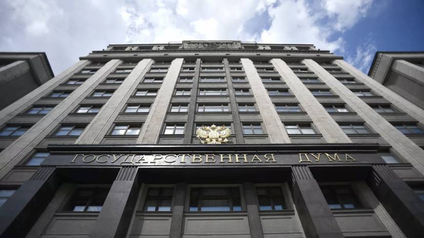 Ольга Савастьянова - В Госдуму внесли поправки о голосовании на выборах дистанционно - russian.rt.com - Россия