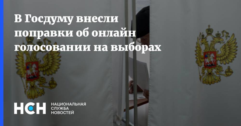 Ольга Савастьянова - В Госдуму внесли поправки об онлайн голосовании на выборах - nsn.fm - Россия