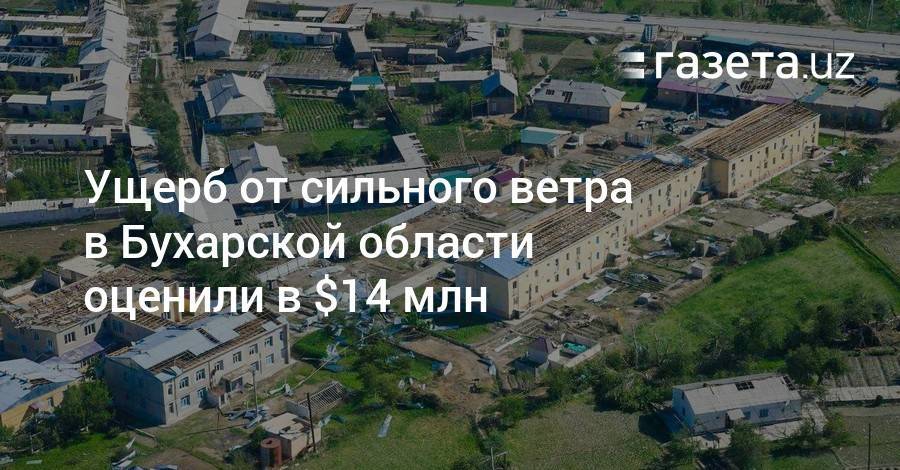 Ущерб от сильного ветра в Бухарской области оценили в $14 млн - gazeta.uz