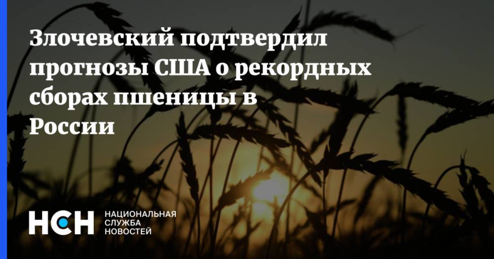 Аркадий Злочевский - Злочевский подтвердил прогнозы США о рекордных сборах пшеницы в России - nsn.fm - Россия - США