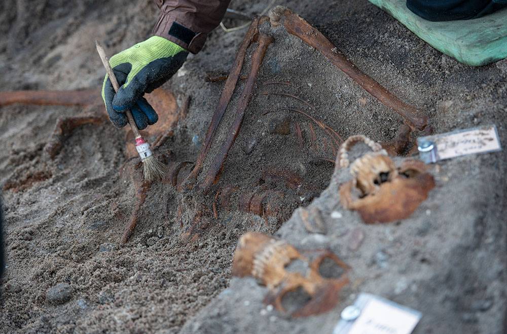 Ученые нашли в Болгарии останки самых древних Homo sapiens в Европе - rtvi.com - Болгария