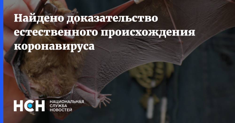 Найдено доказательство естественного происхождения коронавируса - nsn.fm - Китай