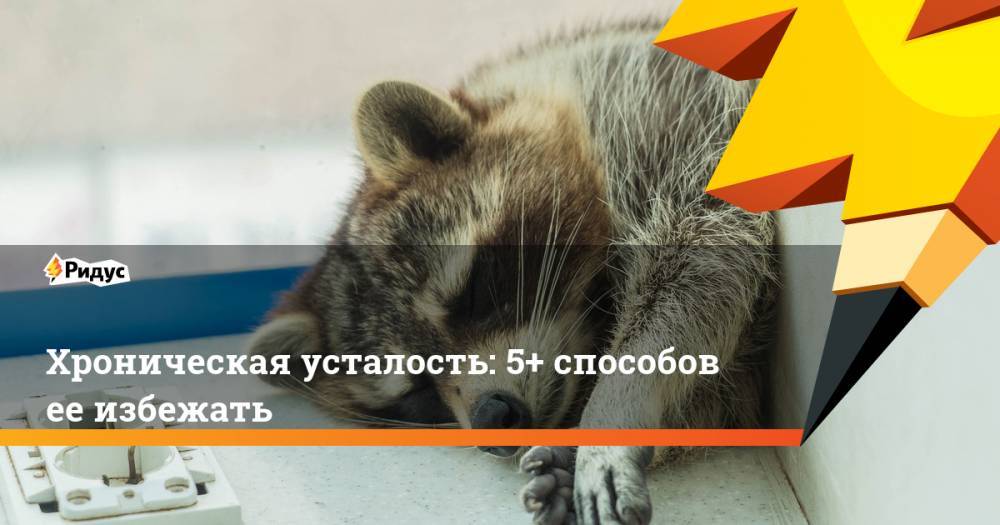 Хроническая усталость: 5+ способов ее избежать - ridus.ru