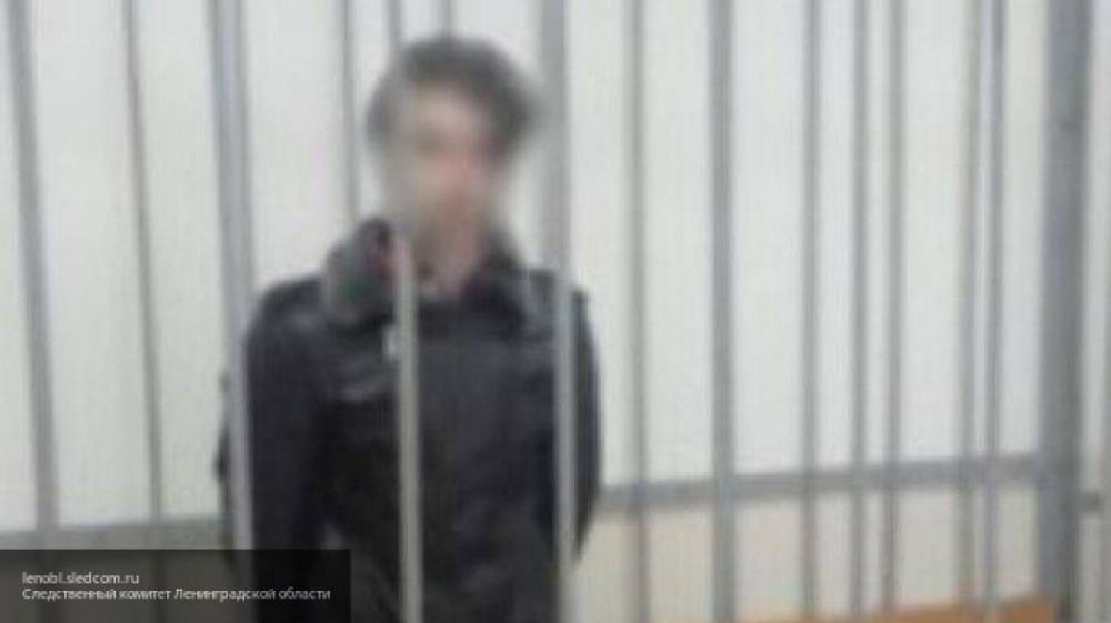 Стали известны подробности жизни каннибала Зверева и его малолетней подруги - nation-news.ru - Ленинградская обл. - Санкт-Петербург - Сочи - Алтайский край - Рубцовск