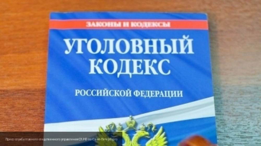 Россиян могут освободить от уголовного наказания за оскорбление представителей власти - politexpert.net - Россия